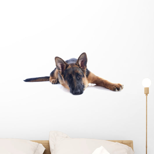 Puppy German Shepherd Wall Decal