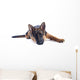 Puppy German Shepherd Wall Decal