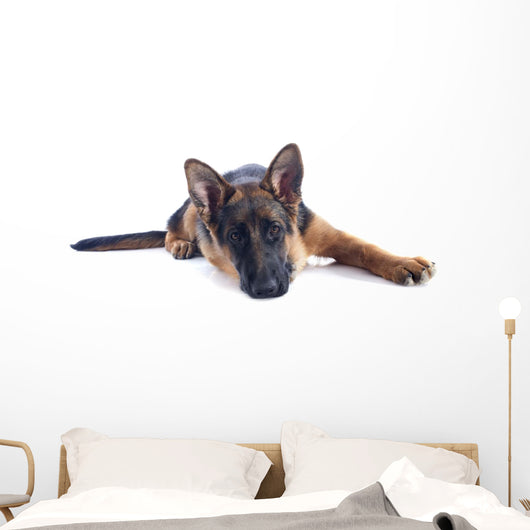 Puppy German Shepherd Wall Decal