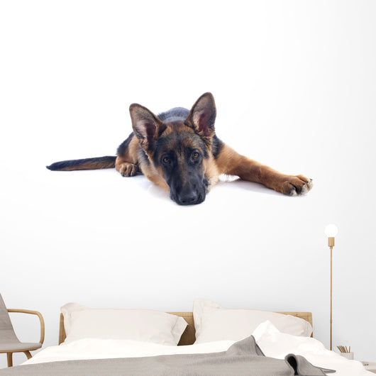 Puppy German Shepherd Wall Decal