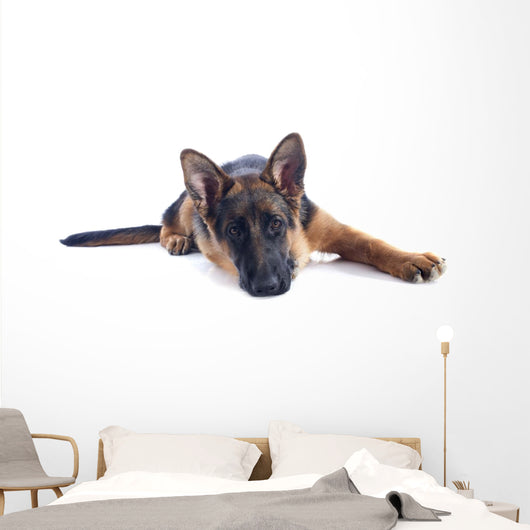 Puppy German Shepherd Wall Decal