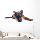 Puppy German Shepherd Wall Decal