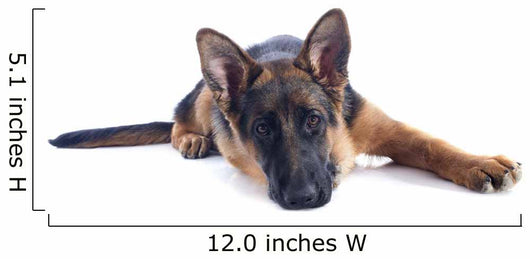 Puppy German Shepherd Wall Decal