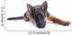 Puppy German Shepherd Wall Decal