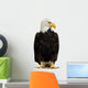 American Bald Eagle Wall Decal