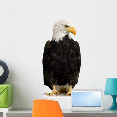 American Bald Eagle Wall Decal shown on a wall