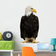 American Bald Eagle Wall Decal
