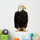 American Bald Eagle Wall Decal