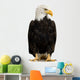 American Bald Eagle Wall Decal
