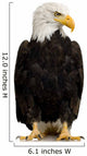 American Bald Eagle Wall Decal