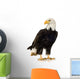 Bald Eagle (22 years) - Haliaeetus leucocephalus Wall Decal