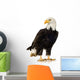 Bald Eagle (22 years) - Haliaeetus leucocephalus Wall Decal