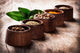 Spice Wall Mural
