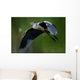 Airone Cenerino Volo Wall Mural