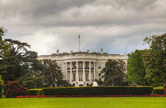 White House Building Washington