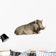 African Wart Hog Resting Wall Decal