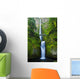 Multnomah Falls Columbia River Wall Mural