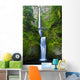 Multnomah Falls Columbia River Wall Mural