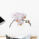 white orchid branch Wall Decal