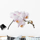 white orchid branch Wall Decal