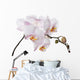 white orchid branch Wall Decal