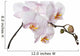 white orchid branch Wall Decal