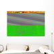 African Union Actual Map Wall Mural