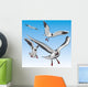 Seagull Wall Mural