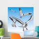 Seagull Wall Mural