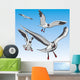Seagull Wall Mural