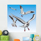 Seagull Wall Mural