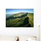 Green Maui Mountain Wall Mural