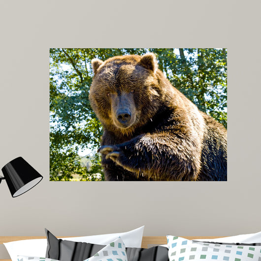 Up Big Bear Wall Mural