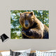 Up Big Bear Wall Mural