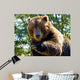 Up Big Bear Wall Mural
