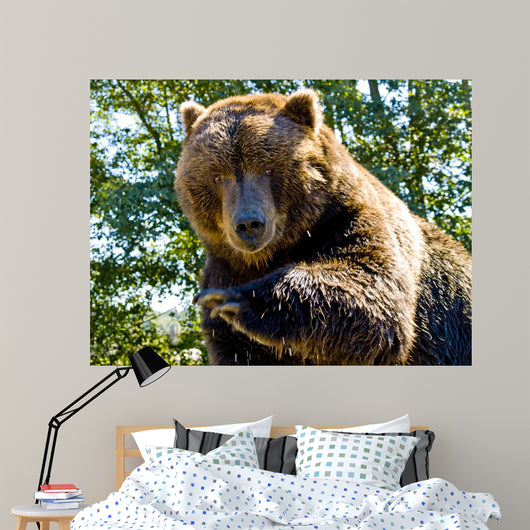 Up Big Bear Wall Mural