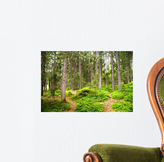 Path Woods