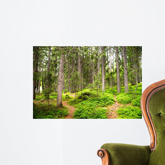 Path Woods