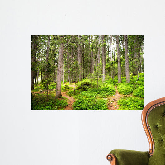 Path Woods