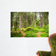 Path Woods