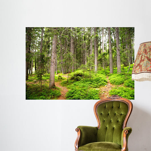 Path Woods