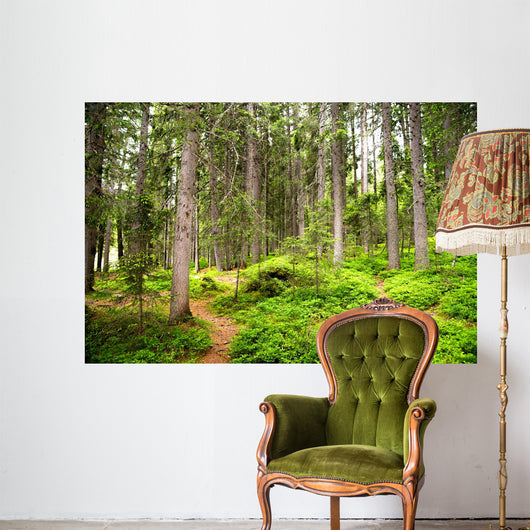 Path Woods