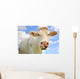 Humorous Portrait Cow