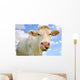 Humorous Portrait Cow