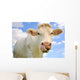 Humorous Portrait Cow