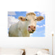 Humorous Portrait Cow