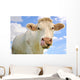 Humorous Portrait Cow