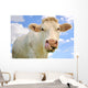 Humorous Portrait Cow