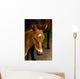 Horse Foal to His