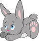 Rabbit with Isolation White